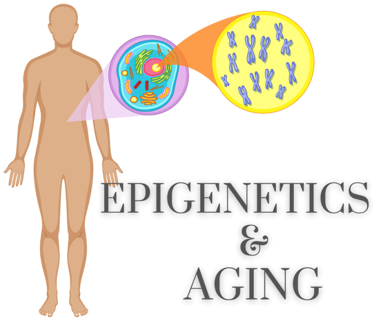 Changes with Aging & How Can We Positively Utilize It